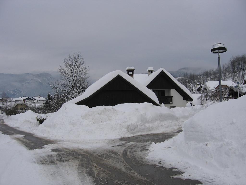 Apartment Andolsek Bohinj Buitenkant foto